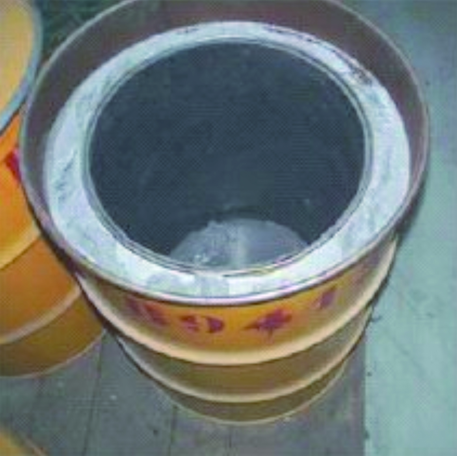 Colis pour sources radioactives scellées (fût métallique pré-bétonné)